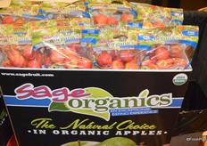 Bin with Sage Organics apples in pouch bags.