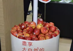 New bins for Envy apples for the Chinese market from T&G Global, they will be in Park n Shop and other retailers in Hong Kong for the Moon Festival.
