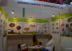 Sasa Jiang, Managing Director of Qingdao Harvest Foodstuffs Co.,Ltd in conversation with a client.