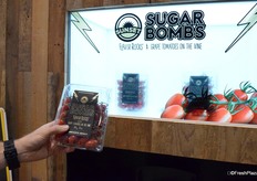 The first grape on the vine of North America, Sugar Bombs of Sunset, a very sweet tomato