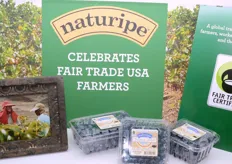 Naturipe Farms LLC - http://www.naturipefarms.com
