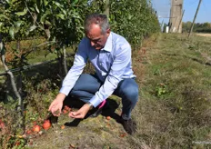 Marc refers to the rich and fertile soil on which the apples are grown. Apples that have fallen by themselves are used as soil nutrition.