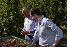 Marc Rauffet and Arnaud de Puineuf inspecting freshly picked apples