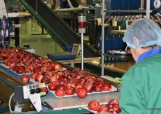 Apples intended for the Chinese market are provided with a wax coating before boxing