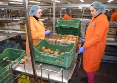 These kiwis are checked for any defects, and put into big cartons destined to the UK.