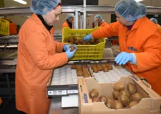 These kiwis are checked for quality issues and then placed into smaller cartons.