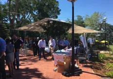 Delegates enjoying the Trade Show at the Australian Mango Conference 2019