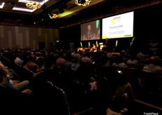 The Living and Farming with TR4 discussion panel, featuring Mark Smith from Darwin Fruit Farm and Gavin and Stephen Mackay from Mackays in Tully.