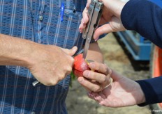 It doesn't get any fresher than this. 