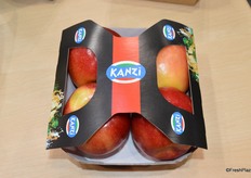 A paper apple sleeve for Kanzi in the Volm booth.