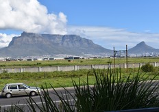View towards Table Mountain from Century City where the conference was held.