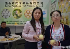 Mr. Pang, General Manager, and colleagues from Botou Panglong Fruit Products Co., Ltd. Specialised in growing, packing and exporting pears.