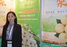 Shirley Yang from Xinji Shengyi Fruits Co.,Ltd. They are a professional pear producer and exporter.