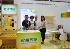 Zhou Xiaoqin from Sichuan NingDian Agriculture Co., Ltd. Main product is lemons.