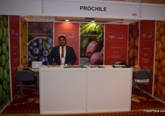 Felix Puna Blanco representing ProChile