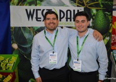 Joe Nava and Joshua Estebana with West Pak Avocados.