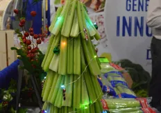Many pictures were taken of Duda's celery Christmas tree.