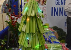 Many pictures were taken of Duda's celery Christmas tree.