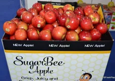 According to Mac Riggan with Chelan Fresh, the SugarBee was Chelan's most popular apple variety on display.