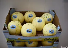 Dino melons are grown in Brazil by Agricola Famosa and have been successful in Europe for the past few years. At the end of 2019 they were first introduced into the US.