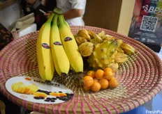 Ecuador’s most important products are bananas, physalis, and yellow dragon fruit.
