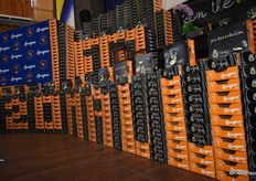 '2020 Maluma' read the box arrangement.