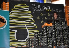 Edrean Ernst of Allesbeste Boerdery presenting the economic case for avocado trellising systems.