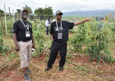 Clarens Maeko, deputy director of agribusiness at the Limpopo Department of Agriculture and Rural Development, and Lesetsa Maake, production scientist at LDARD in Tzaneen.