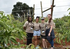 Ncobile Kune, research assistent, Casey Gill and Raven Wienk, Masters students and Melissa Joubert, PhD student at the Department of Microbiology and Plant Pathology of the University of Pretoria.