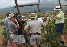 Dr André Ernst explaining the philosophy behind trellising avocados to an interested audience.