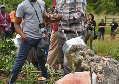 Remofilwe and Mandla Mooko of Baleti Estate discussing avocado grafting.