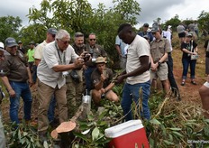 Delegates found the practical demonstration of techniques like topworking of old trees engrossing.