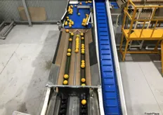 The machine can sort 10 tonnes of fruit an hour