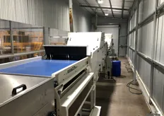 Reemoon systems cater for many areas of post-harvest, including quality, visual, weight, colour, density and defect sorting.