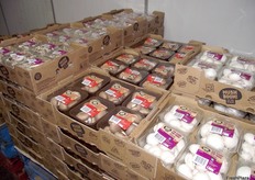 Costa launched Mush-Boom last year with more than 20 million individual mushrooms picked per week
