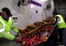 The Foodbank team sorting through a donation of apples