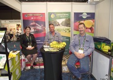 Brooke Muccignat, Rodney Hill and James Rogers from Lindsay Australia