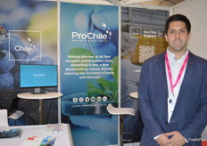 Another familiar brand is ProChile, the organisation has 50 offices worldwide and the UK is the 4th largest export market for Chilean fruit. Nicolas Poblete was at the stand.