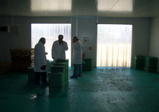 Cooling systems and controlled atmosphere to storage berries