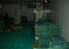 Controlled atmosphere