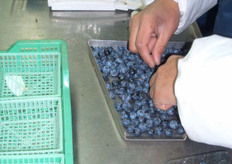 Size, caliber and weight control