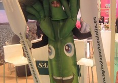 Agrícola Santa Eulalia’s walking broccoli, with the cutlery ready for the tasting.