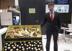 Rui Sampaio, General Director of Sousacamp España, S.A, specialist in regular and wild mushrooms.