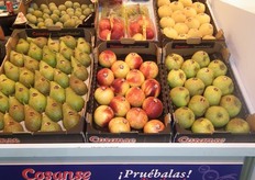 Exquisite fruits exhibited at the stand of Cosanse.