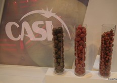 The tomato specialist estimates its sales volumes to increase by 10% during the 2013-2014 campaign, during which it expects to sell around 250 million kilos of tomatoes.