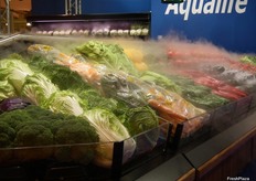 Nebulizing equipment manufactured by Aqualife, intended to keep the right levels of moisture in fruits and vegetables.