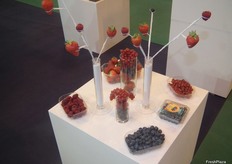 Berries exhibited in an original manner at Euroberry’s stand.