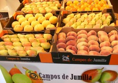 Fruit exhibited at the stand of Campos de Jumilla.
