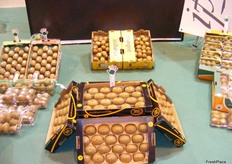 Kiwis at Kiwi Atlántico’s stand.