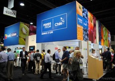 The Chilean pavilion, as usual visited by many people.